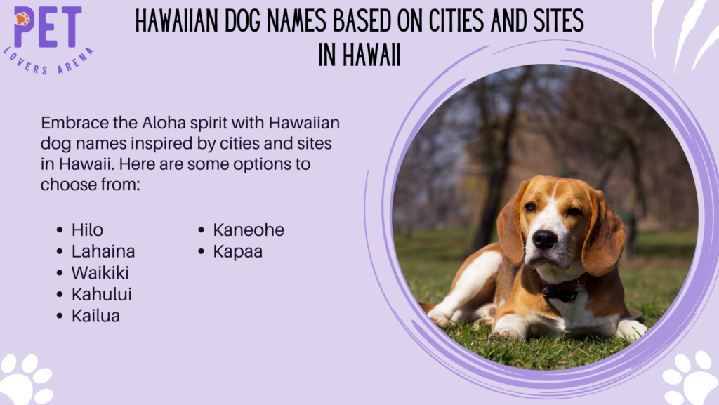 Hawaiian Dog Names Based on Cities and Sites in Hawaii