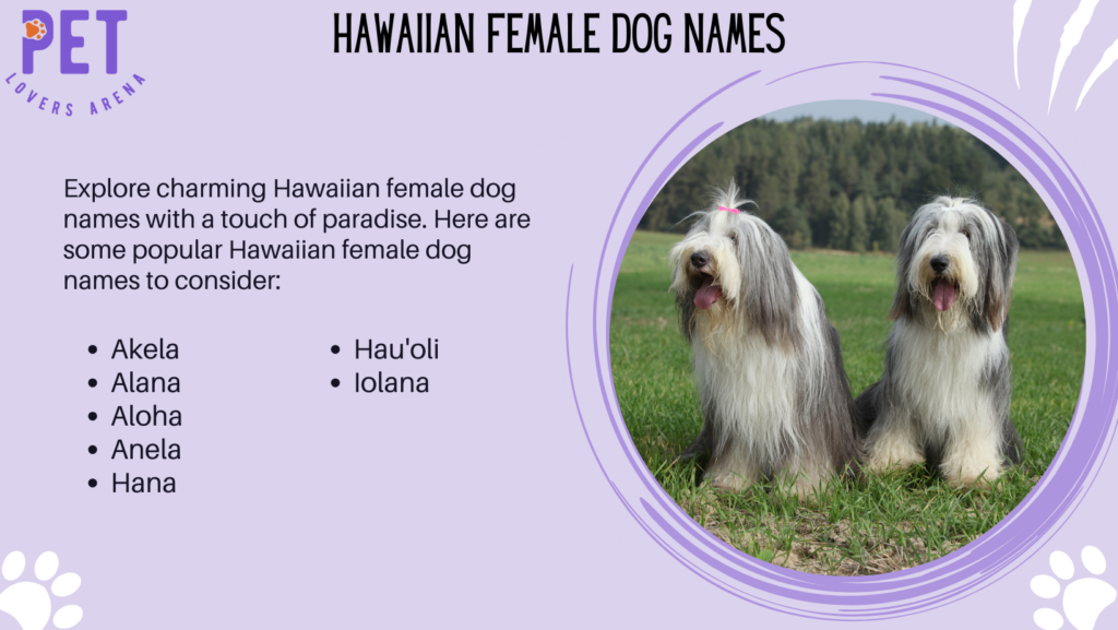 Hawaiian Female Dog Names