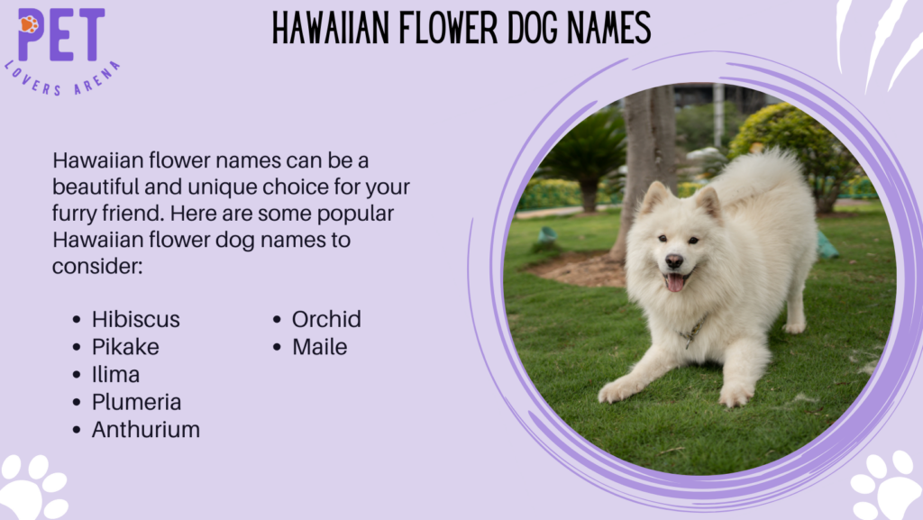Hawaiian Flower Dog Names