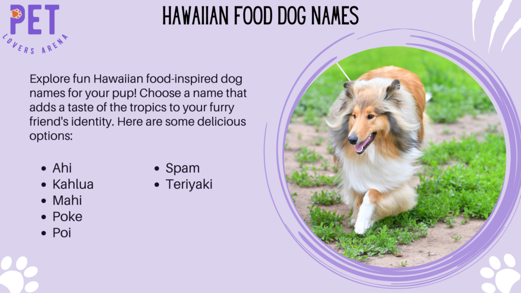 Hawaiian Food Dog Names