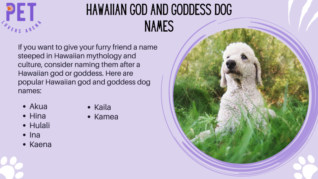 Hawaiian God and Goddess Dog Names
