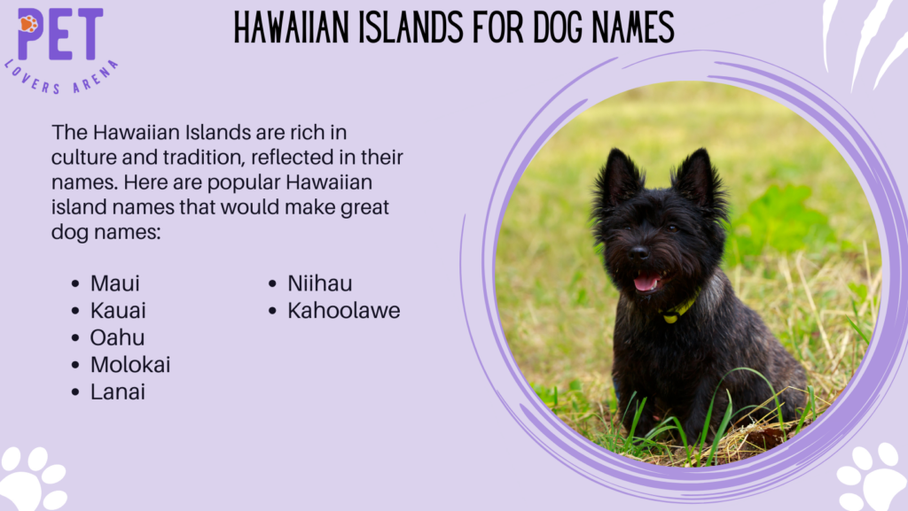 Hawaiian Islands for Dog Names