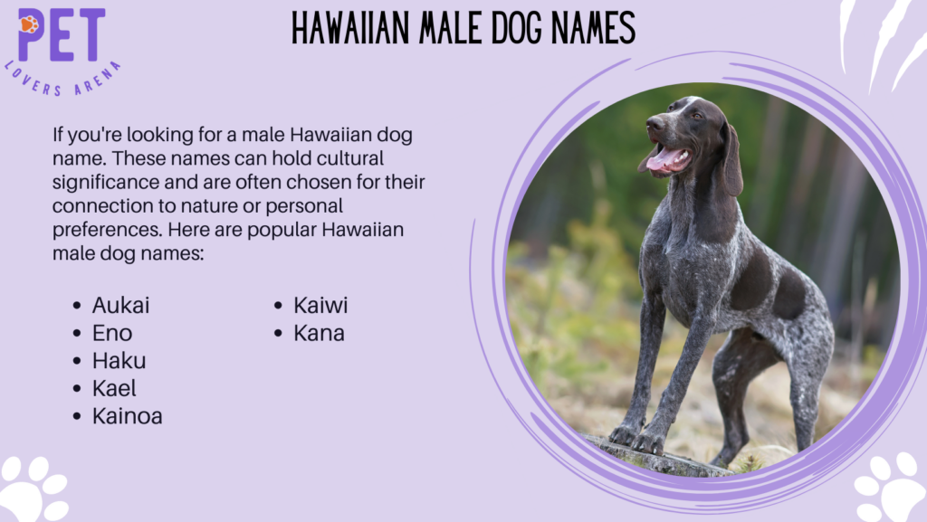 Hawaiian Male Dog Names