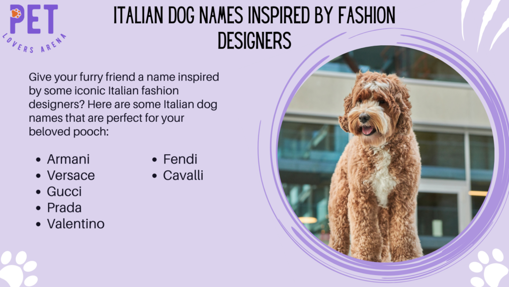 Italian Dog Names Inspired By Fashion Designers