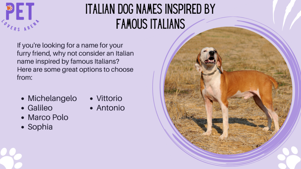 Italian Dog Names Inspired by Famous Italians