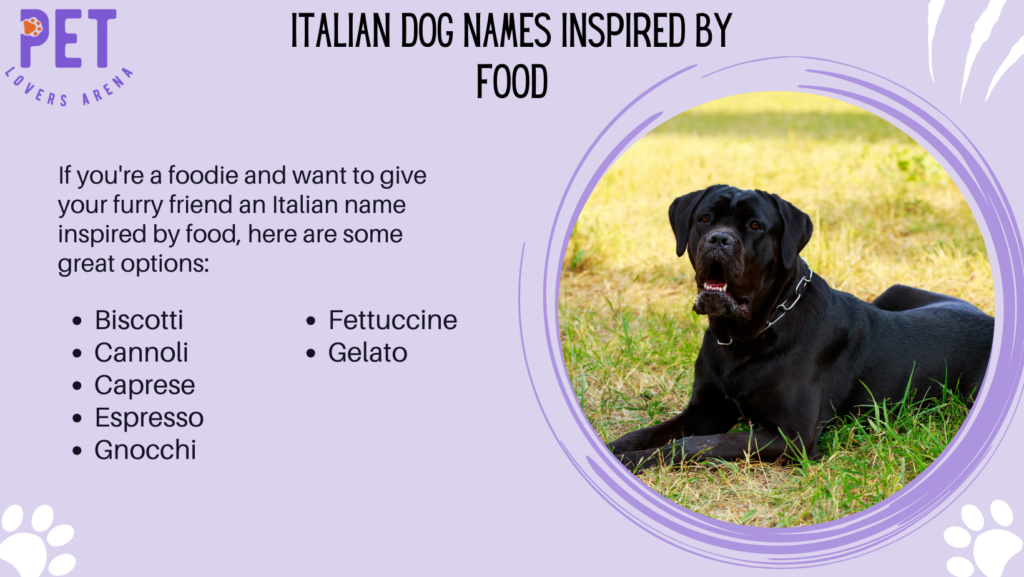 Italian Dog Names Inspired by Food