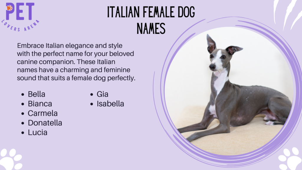 Italian Female Dog Names