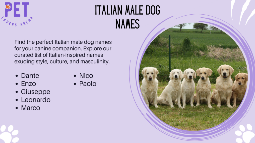 Italian Male Dog Names