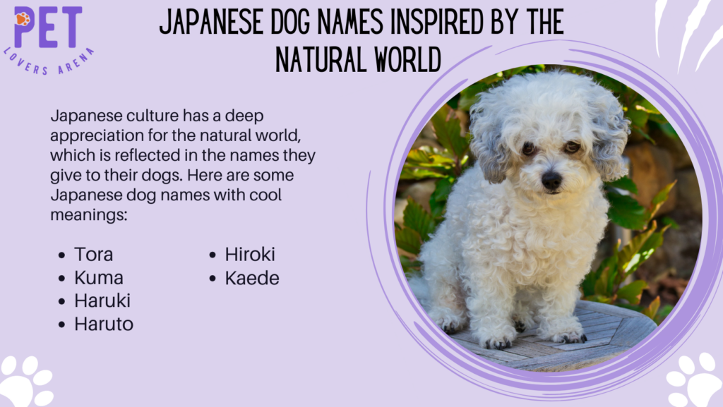 Japanese Dog Names Inspired by the Natural World