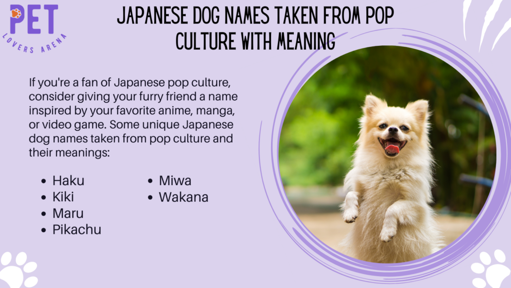 Japanese Dog Names Taken from Pop Culture with Meaning