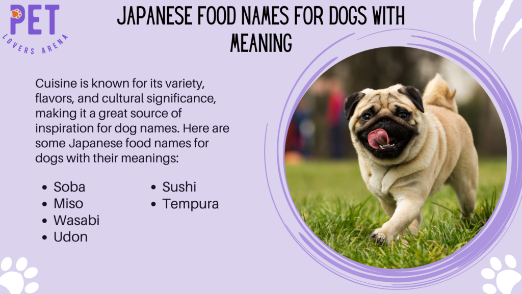 Japanese Food Names for Dogs with Meaning