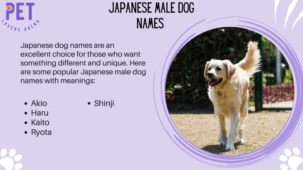 Japanese Male Dog Names 