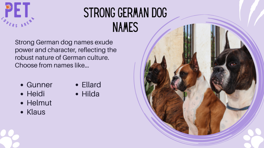 Strong German Dog Names
