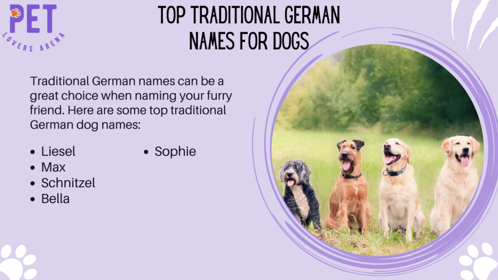Top Traditional German Names for Dogs