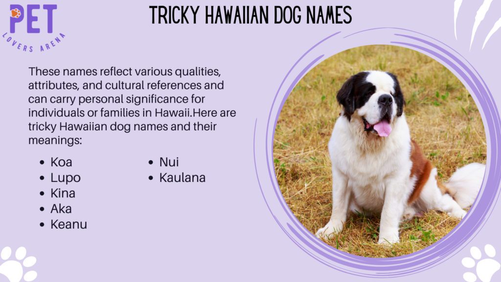 Tricky Hawaiian Dog Names