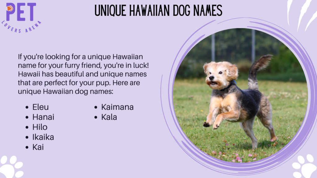 Unique Hawaiian Dog Names