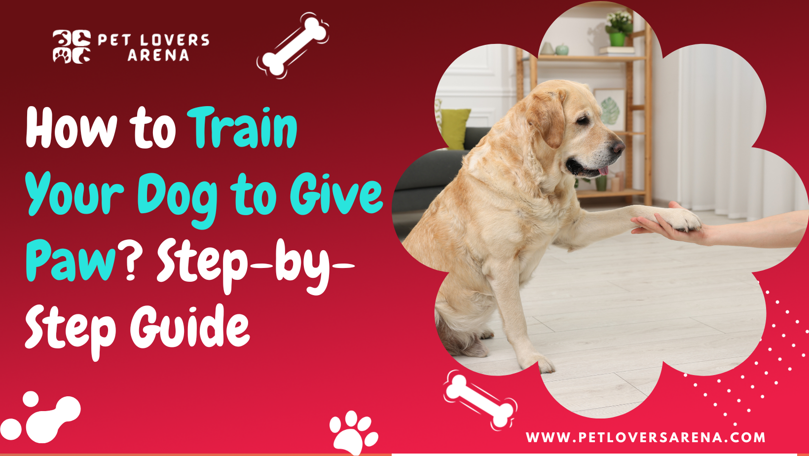 how to train dog to give paw