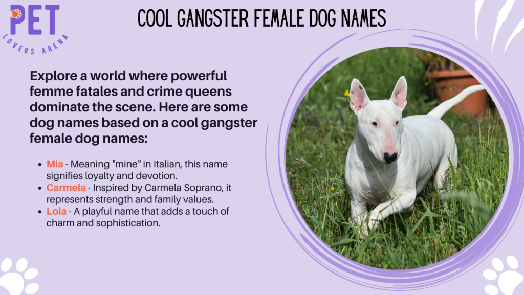 Cool Gangster Female Dog Names