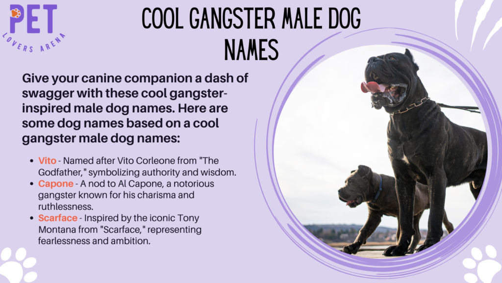 Cool Gangster Male Dog Names