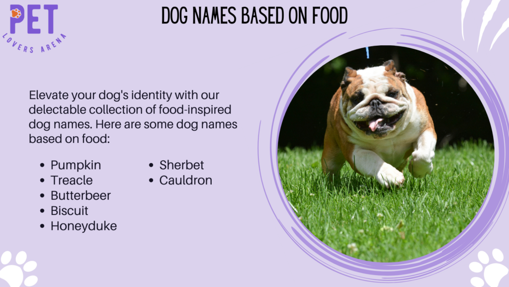 Dog Names Based On Food