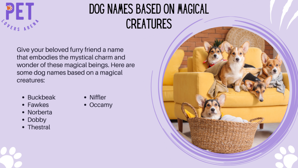 Dog Names Based On Magical Creatures