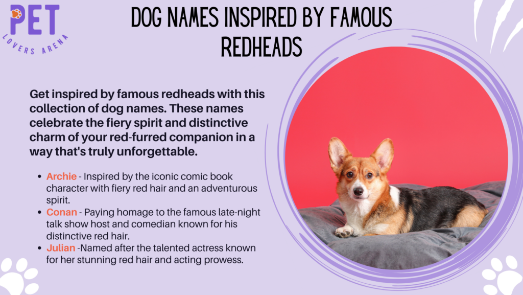 Dog Names Inspired By Famous Redheads