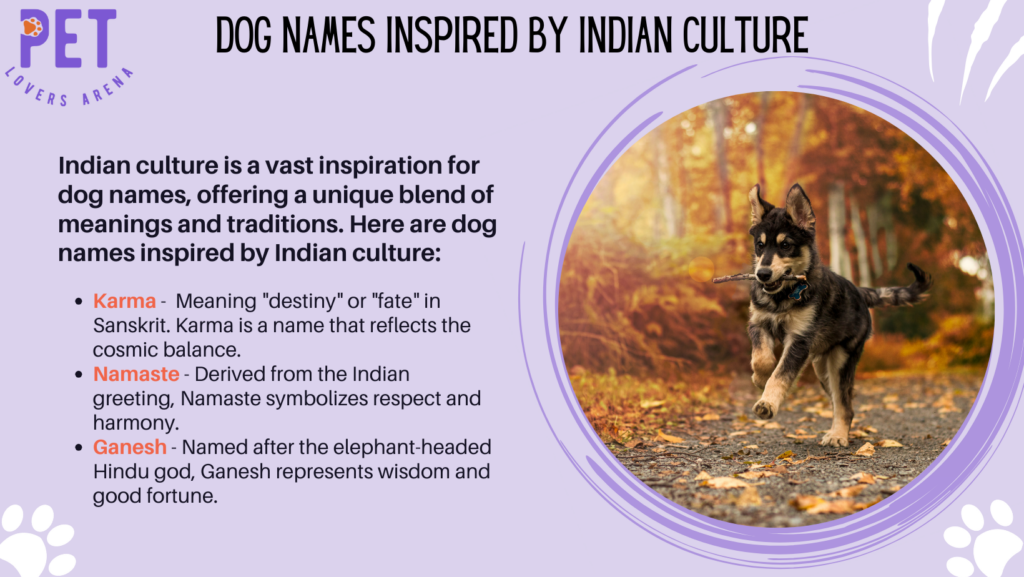 Dog Names Inspired By Indian Culture