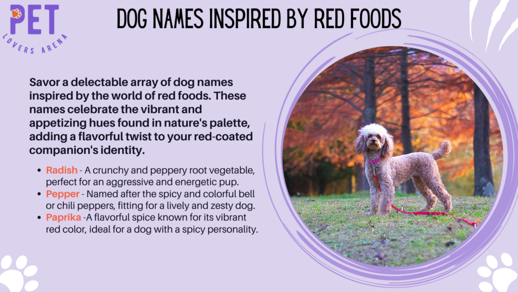Dog Names Inspired By Red Foods