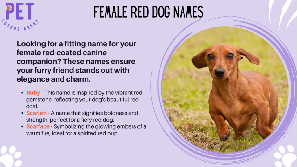 Female Red Dog Names