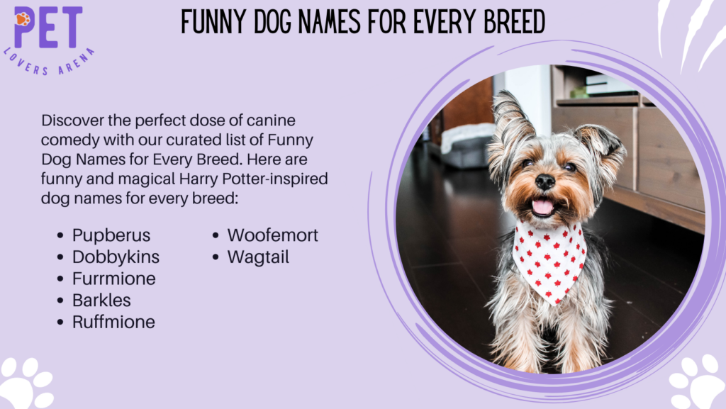 Funny Dog Names For Every Breed