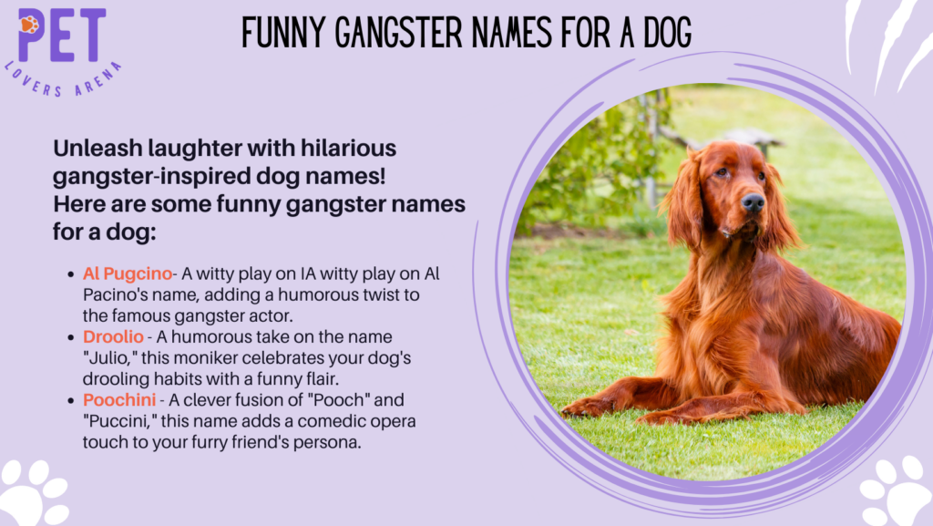 Funny Gangster Names For A Dog