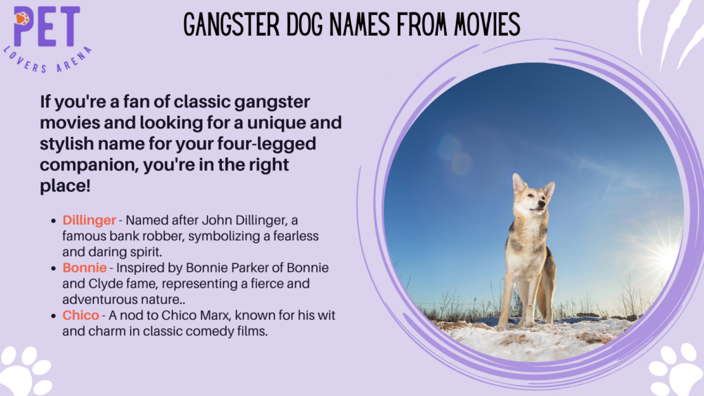 Gangster Dog Names from Movies