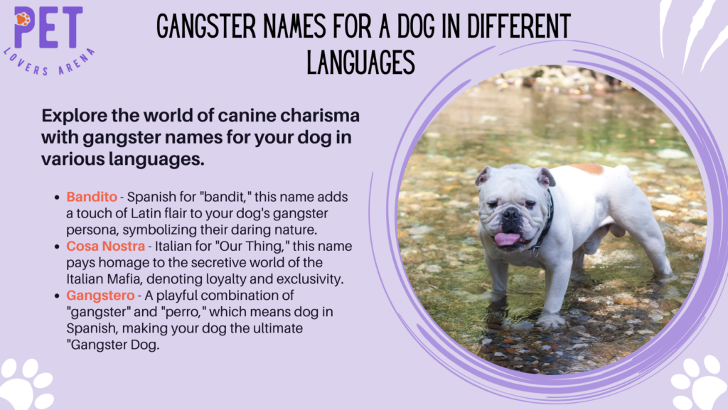 Gangster Names For A Dog In Different Languages 