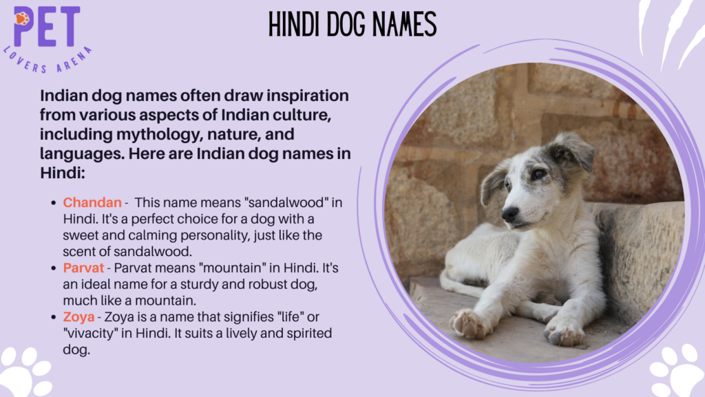 Hindi Dog Names