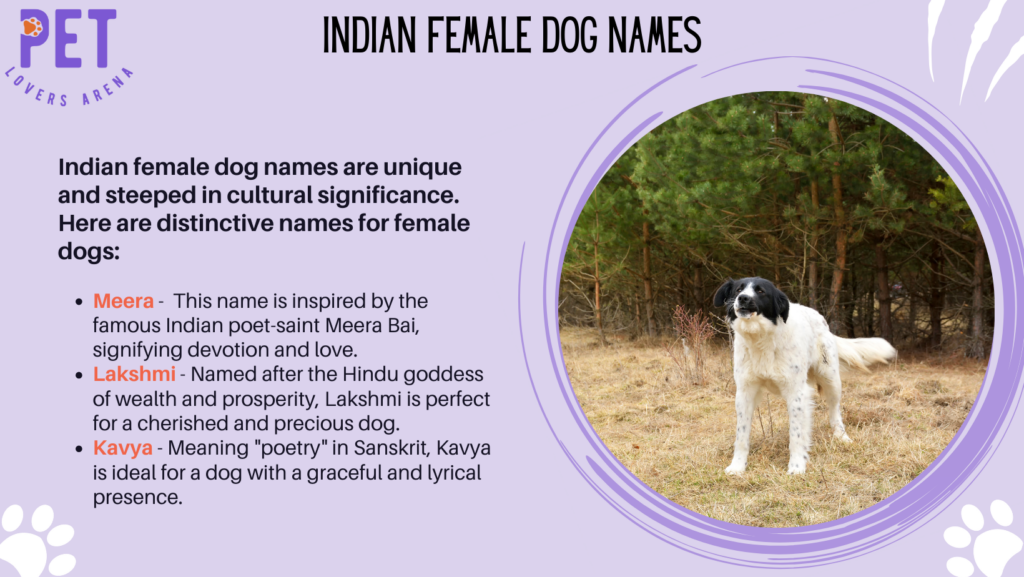 Indian Female Dog Names