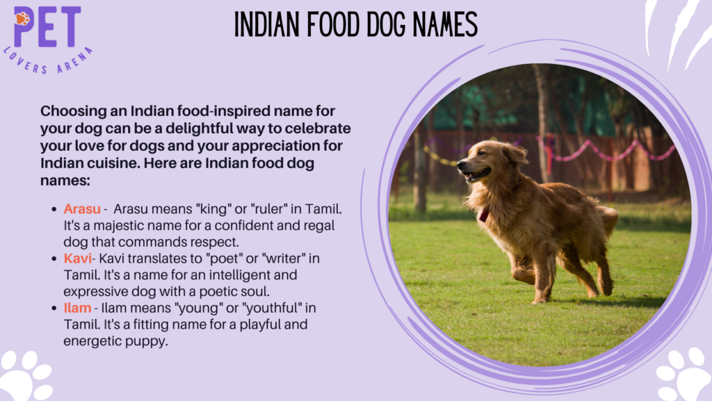 Indian Food Dog Names