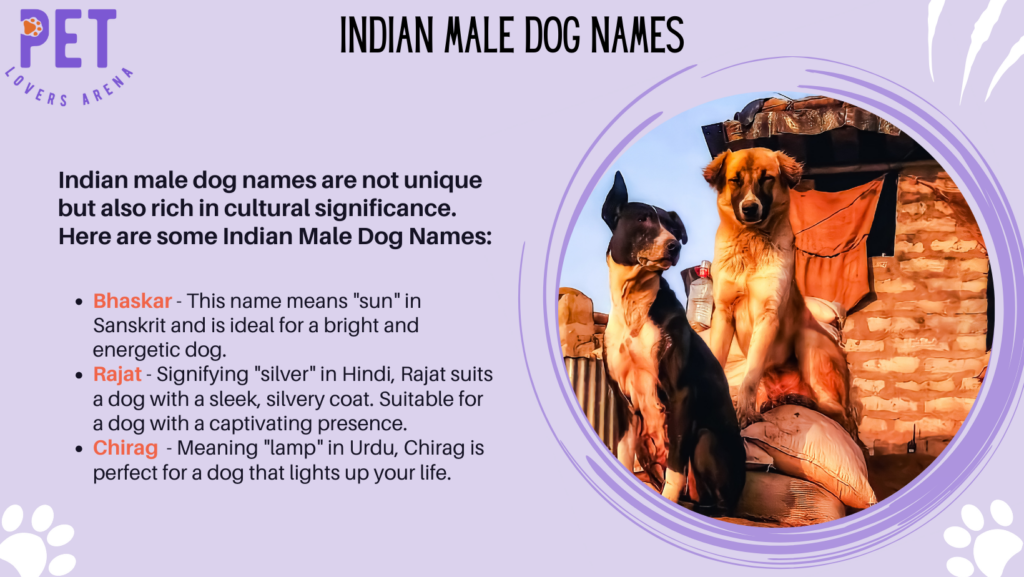 Indian Male Dog Names