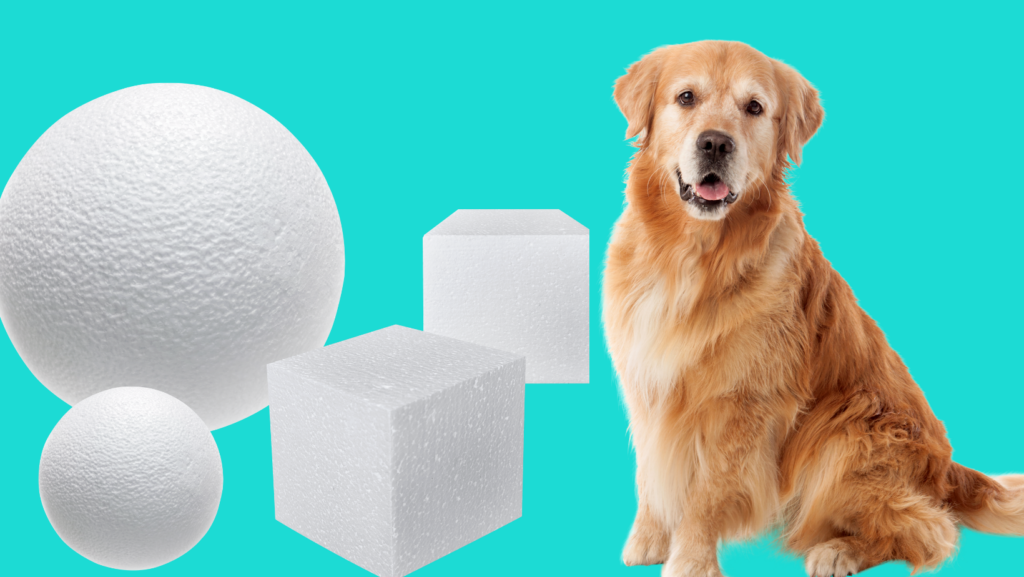 Is Styrofoam Toxic to Dogs?