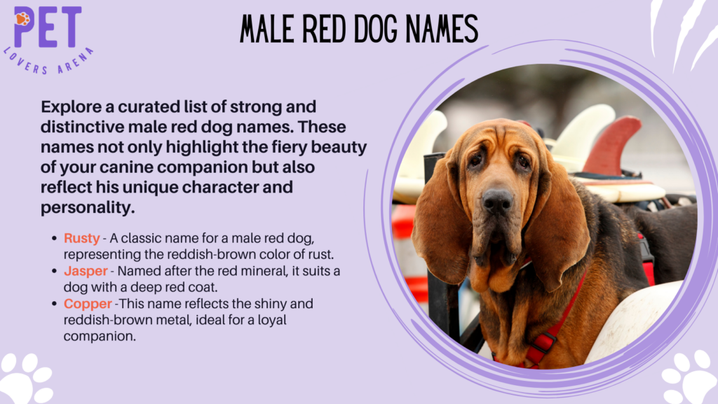Male Red Dog Names