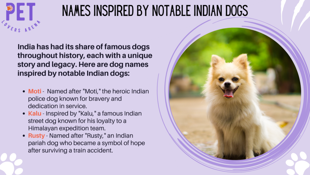Names Inspired By Notable Indian Dogs