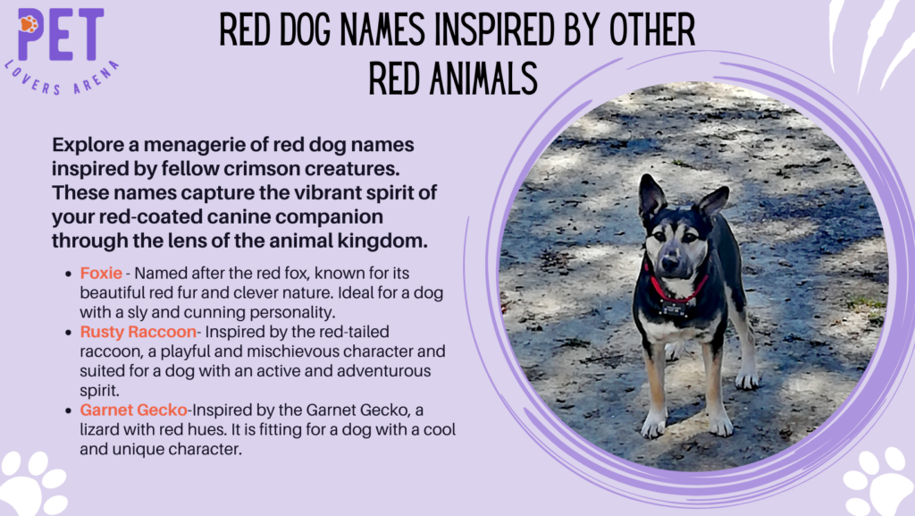 Red Dog Names Inspired By Other Red Animals 