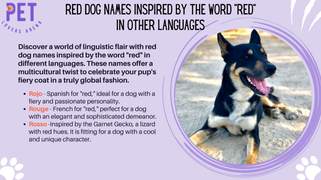 Red Dog Names Inspired By The Word Red In Other Languages