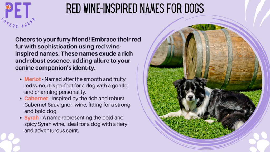 Red Wine-Inspired Names For Dogs