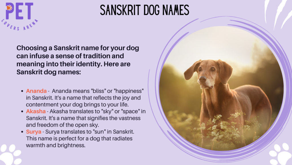 Sanskrit Dog Names 