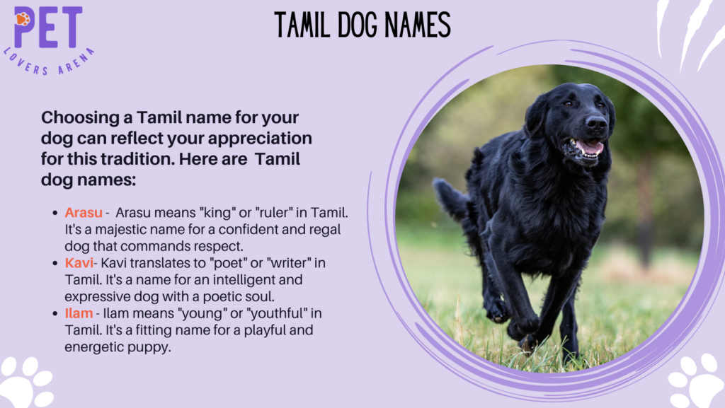 Tamil Dog Names