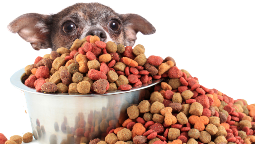 The Use of Artificial Dyes in Dog Food