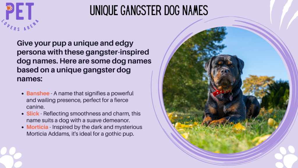Unique Gangster Dog Names
